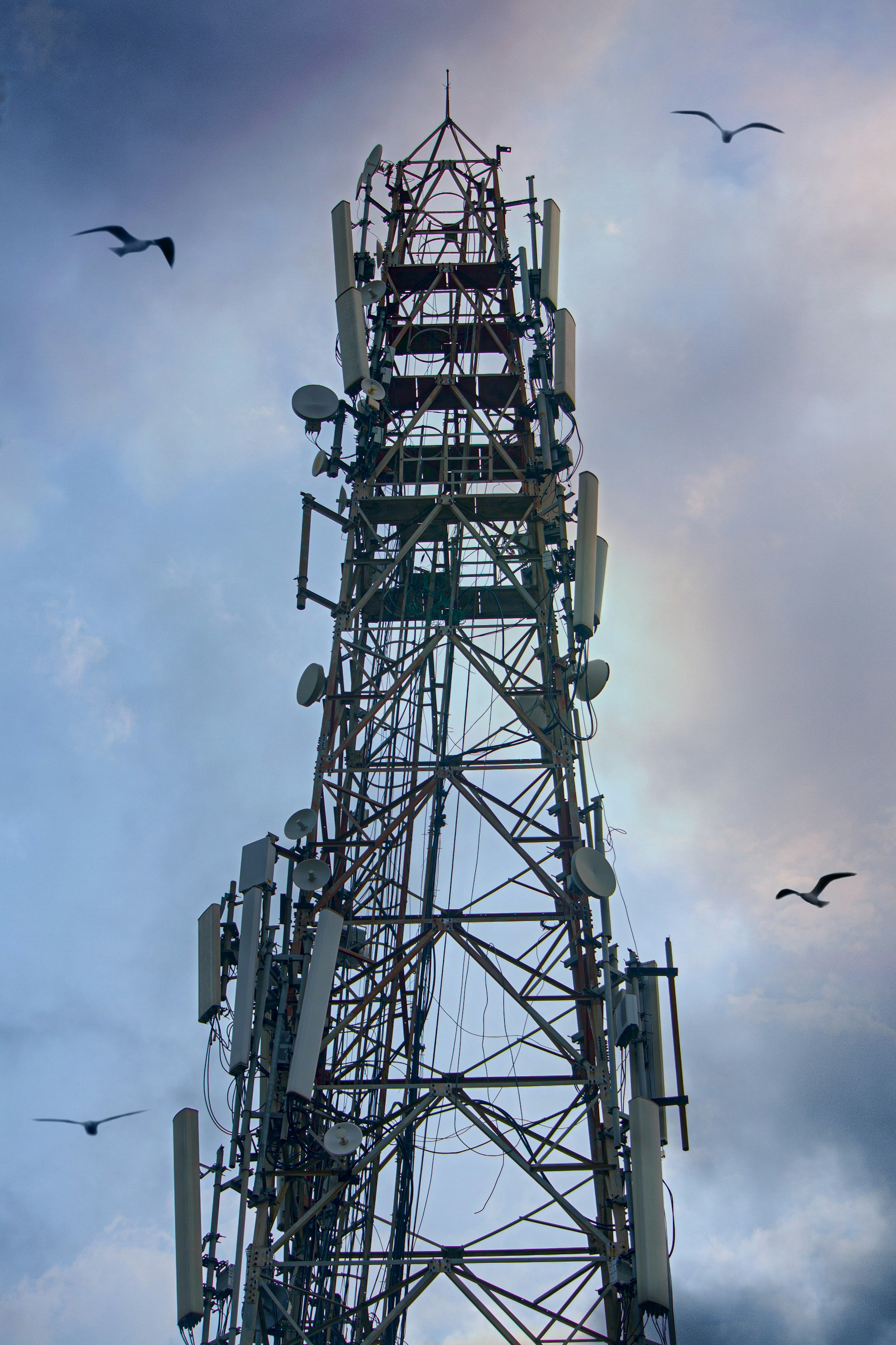 Emergency Response Systems