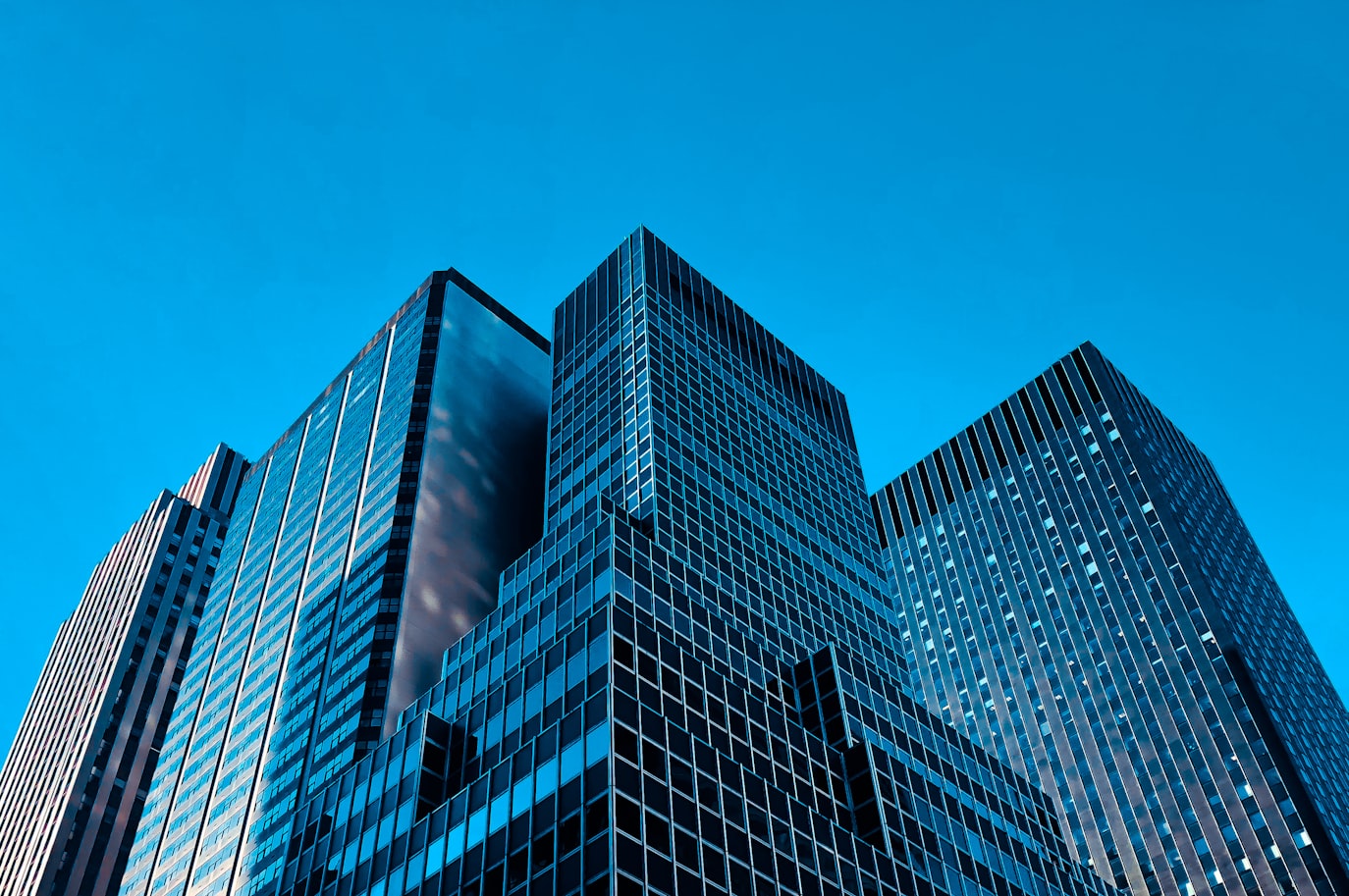 International Startups